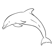 Check spelling or type a new query. How To Draw A Dolphin Step By Step For Kids Beginners