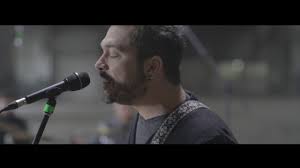 Seva vitei de vie combate afectiunile oculare, vindeca unele leziuni ale pielii. Vita De Vie Haihui Youtube