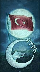 Omer Faruk Bagci Adli Kullanicinin Turkish Army Panosundaki Pin Savascilar Galeri Bayrak