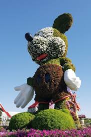 The garden was launched on valentine's day in 2013, occupies over 72,000 square metres, featuring over 50 million flowers and 250 million plants. Visit The World S Largest Flower Garden Dubai Miracle Garden Dubai Travel Planner