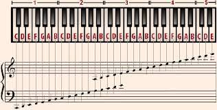 Learn more about the piano keyboard layout and how to identify which keys are assigned to which musical note. Note Reading Piano Keys And Notes Music Notes Piano Keys