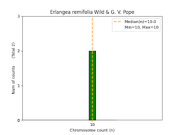 Image result for Erlangea