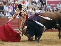 El torero colombiano Luis Bolívar sufrió grave cornada en España | Nacional  | Caracol Radio