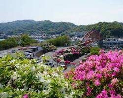 音戸の瀬戸公園の画像