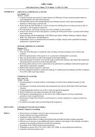 Oversaw and planned the work of two to three staff auditors, providing. Corporate Auditor Resume Samples Velvet Jobs