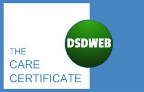 Fits the dr brown bottles. Care Certificate Answers Dsdweb S Free Study Guides For Care Qualifications