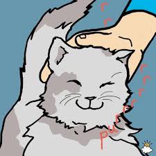Letting Your Cat Purr On Your Body Can Have A Huge Impact On Your Health Why Do Cats Purr Cat Purr Animal Behavior