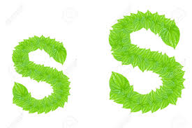 It may take a few tries to get it together, but once you do, it's not. English Alphabet Made From Green Leafs With Letter S In Small Capital And Large Capital Letter Stock Photo Picture And Royalty Free Image Image 11689248