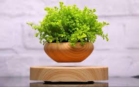 We did not find results for: Of All The Indoor Plant Pots This Levitating Version Is The Coolest Spy