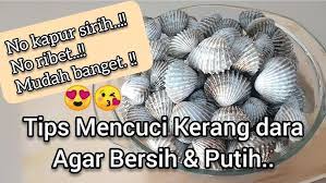 Cara sis basuh kerang lebih kurang. Cara Basuh Kerang Cuci Kerang Dengan Bersih Sekali Sangat Efisien Asmr Video Youtube