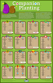 Luluesque Companion Planting Chart B Companion Gardening