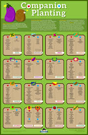 Luluesque Companion Planting Chart B Companion Gardening