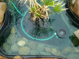 Basically, i made a protein skimmer inside of a barrel, so that water flows down through the 4 pipe into the barrel, in the opposite direction of the air going up the 4 pipe. Diy Skimmer Garden Pond Forums