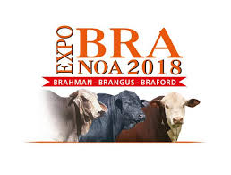 Resultado de imagen para Ya llega ExpoBRA 2018