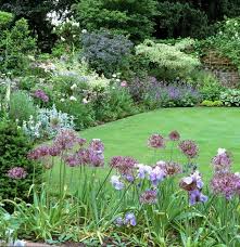 Herbaceous Borders With Cornus Alternifolia Variegata And Rosa Glauca In Background With Alliums In The Foreg Garden Borders Beautiful Gardens Gorgeous Gardens
