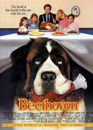 Contribuisci alla community di altadefinizione. Beethoven 1992 Cb01 Eu Film Gratis Hd Streaming E Download Alta Definizione Film Locandine Di Film San Bernardo