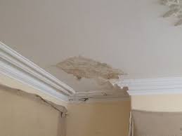 It depends on the work involved in fixing the leak, restoring damaged materials and remediating mold. Cornice Repair And Lath Plaster Ceiling Restoration North Yorkshire
