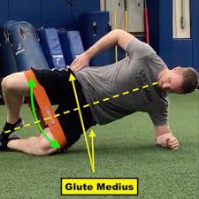 It will help even more for building strong hips, glutes and thighs. Did You Know The Side Plank Clamshell Squat University