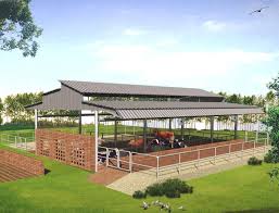 Download cow shed images and photos. Modern Cattle Sheds Punjab Cattle Housing Cow Shed Cow Shed Design