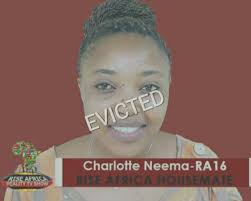 Rise Africa Reality TV Show