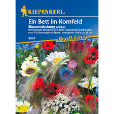 Ein bett im kornfeld (live) от die geheimen sportsocken из альбома rote nasen & faschingsblasen 2017. Ein Bett Im Kornfeld Blumenmischung Kaufen Bei Obi