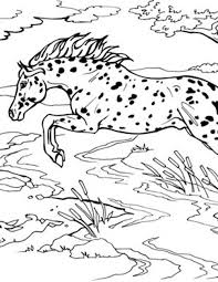 Make a fun coloring book out of family photos wi. Jumping Horse Coloring Page Breyerhorses Com