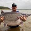 Sturgill is one of our sturgeon in the milwaukee river. Https Encrypted Tbn0 Gstatic Com Images Q Tbn And9gcqkwfkfdfiygeinehwvudb Ozwuk6cemqvitv8dumejw0aacdxi Usqp Cau