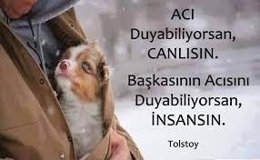 Guner Eskun Adli Kullanicinin Ozlu Sozler Panosundaki Pin Guzel Soz Kitap Alintilari Edebiyat