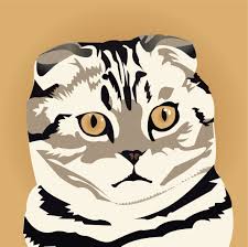 scottish fold custom portraits cat illustration cat art custom cat portrait