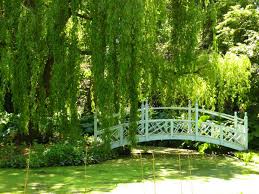 Maybe you would like to learn more about one of these? Green Garden Wallpapers Group 74