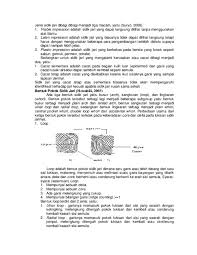 Maybe you would like to learn more about one of these? Doc Jenis Sidik Jari Hidayatun Naziyah Academia Edu