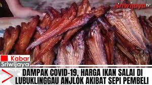 Check spelling or type a new query. Dampak Covid 19 Harga Ikan Salai Di Lubuklinggau Anjlok Akibat Sepi Pembeli Sriwijaya Tv