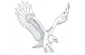Maybe you would like to learn more about one of these? Download Sketsa Gambar Burung Elang Ini Teknik Mewarnainya