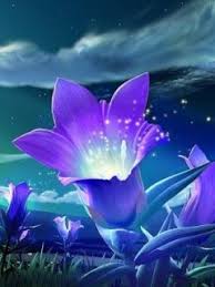 purple glowing flowers colorful backgrounds pretty wallpapers glowing flowers colorful backgrounds