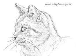 Want To Start Sketching Drawing And Creating Click The Image And Get Yourself A 40 Piece Drawing Set Cat Kitty In 2021 Artist Supplies Cat Sketch Pencil Art