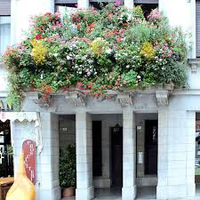 We did not find results for: Looking At Window Boxes In San Daniele