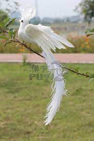 And no greater than 82 degrees if cooled by air conditioning. White Simulation Long Tail Bird Plastic Furs Wings Phoenix Bird Doll Gift About 30x20cm 1494 Doll Gift Doll Furgift Gifts Aliexpress