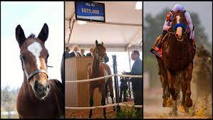 Eight Essential Steps To Get Your Horse To The Kentucky Derby America S Best Racing