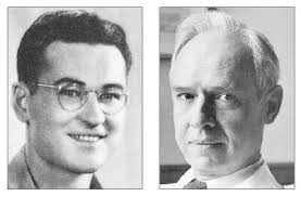 Our Oppenheimer connection