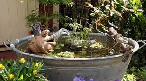 Der Neue Miniteich Miniteich Garden Garden Plants Und Plants