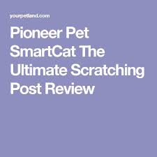 Pioneer Pet Smartcat The Ultimate Scratching Post Review Scratching Post Pet Care Tips Cat Scratching Post