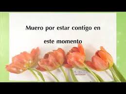 Poemas De Amor Para Ella Versos De Amor Y Frases Para Ella Te Amo Mi Amor Youtube Te Amo Mi Amor Te Amo Frases De Amor