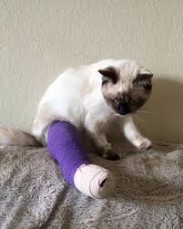 Image result for Snurgle