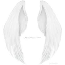 Black And White Wings Roblox Angel Wings Png Submited Images Pic2fly Liked On Polyvore Featuring Wings Backgrounds Fillers Art Accesso Wings Png Angel Wings Png Angel Wings Costume