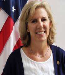 Virtual Public Meeting