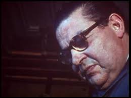 Daniel Friederich, Luthier