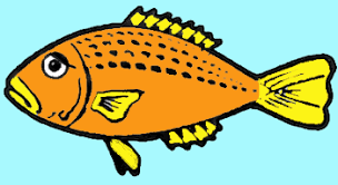 How To Draw Fish In Easy To Follow Steps Drawing Lesson How To Draw Step By Step Drawing Tutorials Know how to draw a fish. easy to follow steps drawing lesson