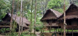 The orang asli are the indigenous minority peoples of peninsular malaysia. Building With The Orang Asli Architectsplanet Tv