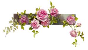 Good morning flower images free download for whatsapp. Download Flower Latest Version 2018 Png Transparent Background Free Download 17966 Freeiconspng