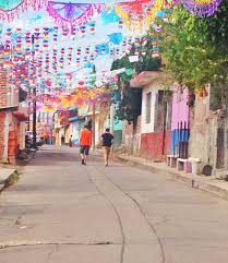 Amazing monarch butterfly migration, michoacan, mexico; La Luz Michoacan Mexico Scenery Street View Mexico